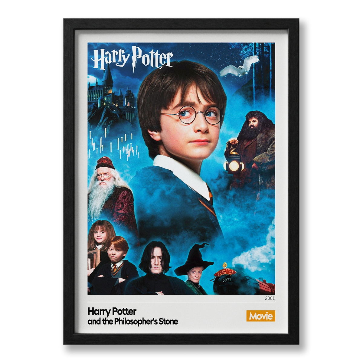 Quadro: Harry Potter e a Pedra Filosofal v1