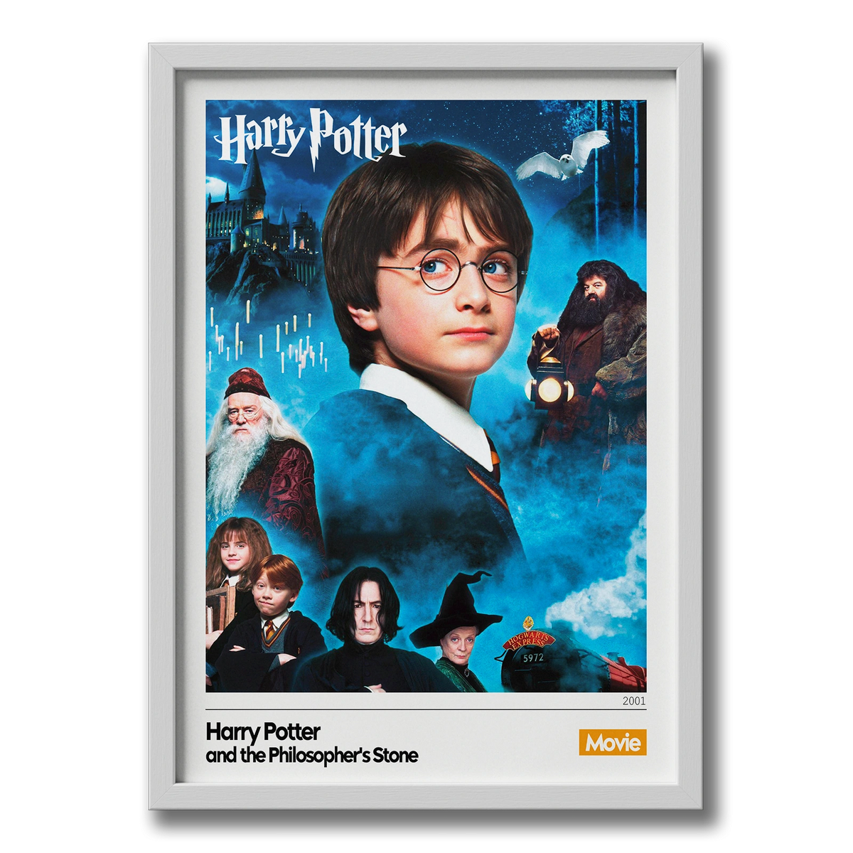 Quadro: Harry Potter e a Pedra Filosofal v1