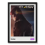 Quadro: The Flash v1