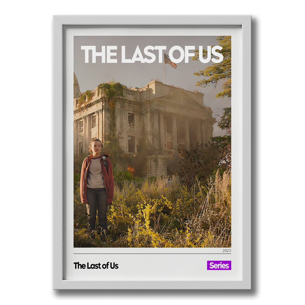Quadro: The Last Of Us v1